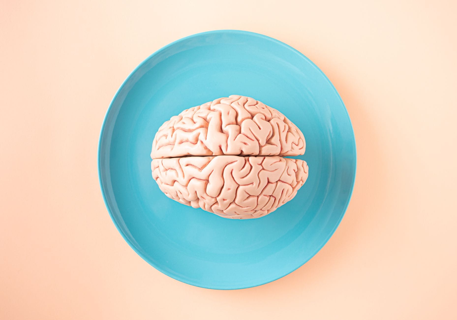 "Does Creatine Actually Help With Brain Function and Memory?" What 16 Clinical Trials Reveal About This Gym Supplement