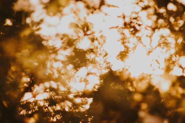 "Could My Chronic Pain Be Caused by Vitamin D Deficiency?" What 81 Clinical Studies Reveal